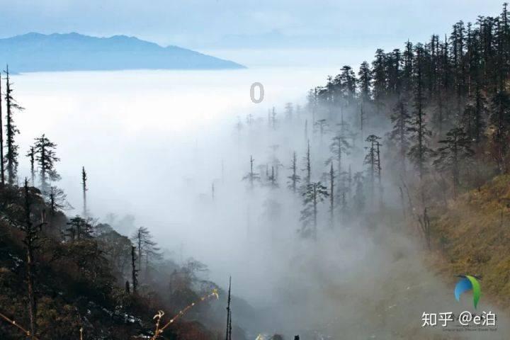 解答疑惑,畅谈生活,尽在百度知道团队,团长工作室不见了,怎么解决。截图如下蜗牛问答平台